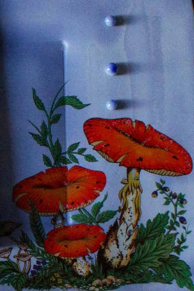 Close up of a mushroom decal on a blue plate with kiln fired jewels
